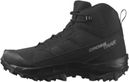 Salomon Crosstrak Waterproof Schoenen Zwart
