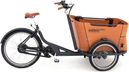 Bicicleta de carga eléctrica de tres ruedas Babboe Curve Mountain Enviolo NuVinci 500 Wh 20/26'' Gris antracita Marrón