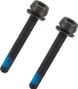 Campagnolo H11 39mm Caliper Bolt