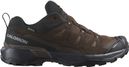 Salomon X Ultra 360 Gore-Tex Hiking Shoes Brown/Black
