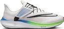 Nike Air Zoom Pegasus 39 FlyEase Running Shoes White Green Blue