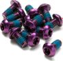 Reverse Disc Rotor Bolt Steel M5 x 10mm Purple