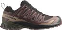 Salomon Xa Pro 3D V9 Gore-Tex Trail Shoes Brown/Black