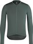 Maglia a maniche lunghe leggera da uomo Rapha Pro Team Grigio/Verde