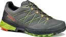 Asolo Tahoe LTH Gore-Tex Hiking Shoes Grey/Green