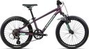 VTT Semi-Rigide Enfant Orbea MX 20 XC Shimano Tourney/Altus 7V 20'' Violet 2023 4 - 7 Ans