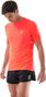 Compressport Pro Racing short sleeve jersey Red Homme