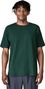 Maglietta Patagonia P-6 Logo Responsibili-Tee Verde Uomo
