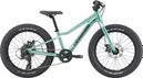 Mountain bike per bambini Cannondale Kids Trail Plus 20" Verde