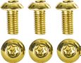 Kit di 6 Viti per disco NEATT Inox M5x10 mm Oro
