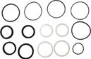 WSS - DVO  topez air can seal kit  1 set