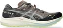 Chaussures Trail Asics Fuji Lite 5 Gris Homme