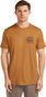 Icebreaker 150 Tech Lite Tee Evolving Lay Herren-T-Shirt in Braun 