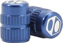 Paar Blue Schrader One Valve Box Tipps