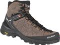 Salewa Alp Trainer 2 Mid Gore-Tex Wanderschuhe Braun/Orange