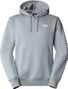 The North Face Outdoor Graphic Hoodie Grijs