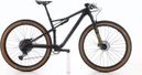 Produit reconditionné · Specialized Epic GX / Vélo VTT | Très bon état