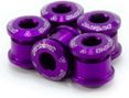 Set di 5 viti per piatto Garbaruk M8 x 0,75 viola