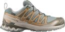 Salomon XA Pro 3D v9 GTX Trail Shoes, Blue/Khaki, Men's