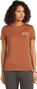 Women's Icebreaker Merino 150 Tech Lite Adventure Ride Brown Technical T-Shirt