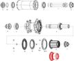 Zipp XD Freewheel Body voor Cognition NSW naaf