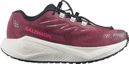 Chaussures Running Salomon Aero Blaze 4 GRVL Rose Femme