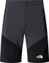The North Face Felik Slim Shorts Donkergrijs/Zwart Heren
