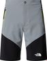The North Face Felik Slim Shorts Light Grey/Black Heren