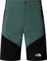 The North Face Felik Slim Shorts Groen Heren