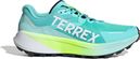 adidas Terrex Agravic 3 Blue Men's Trail Shoes