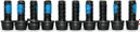 Magura PM Caliper Screws, Steel, T25 (10 pcs.)