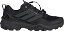 Schuhe adidas Terrex Skychaser Schwarz Herren