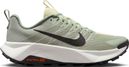 Zapatillas Trail Nike Wildhorse 10 Gris Hombre