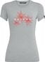 Salewa Lines Graphic Dry T-Shirt Light Gray Women