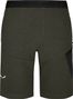 Salewa Lavaredo Shorts Green