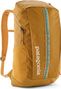 Sac à Dos Patagonia Black Hole Pack 25L Marron