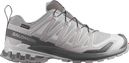 Scarpe da trail Salomon XA Pro 3D V9 GTX grigie da uomo