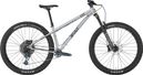 Kona Honzo ESD Mountainbike mit Sram GX Eagle 12V, 29 Zoll, Silber 