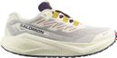 Salomon Aero Blaze 3 GRVL GTX Beige/Blue Men's Running Shoes