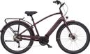 Vélo de Ville Electra Townie Path Go Bosch Performance 250 Watts Matt Oxblood