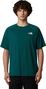 T-Shirt Manches Courtes Homme The North Face North Faces Vert