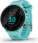 Montre de Sport Garmin Forerunner 55 Bleu