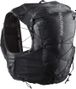 Sac d'hydratation Salomon ADV Skin x Season 15 Gris 