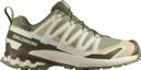 Salomon XA Pro 3D v9 GTX Trail Shoes, Green/Beige, Men's