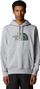 The North Face Drew Peak Hoodie Grey Men's